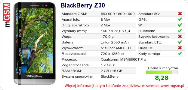 Dane telefonu BlackBerry Z30 Dane telefonu BlackBerry Z30
