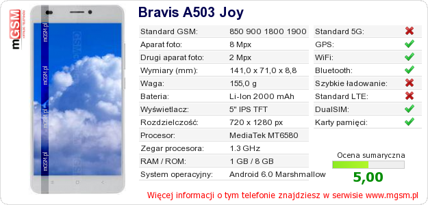 Dane telefonu Bravis A503 Joy