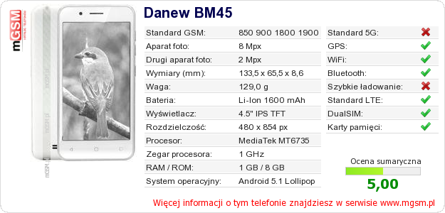 Dane telefonu Danew BM45