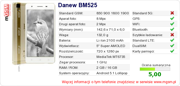 Dane telefonu Danew BM525