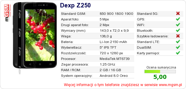 Dane telefonu Dexp Z250 Dane telefonu Dexp Z250