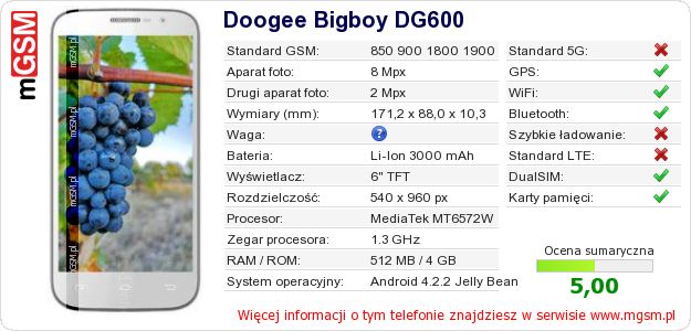 Dane telefonu Doogee Bigboy DG600