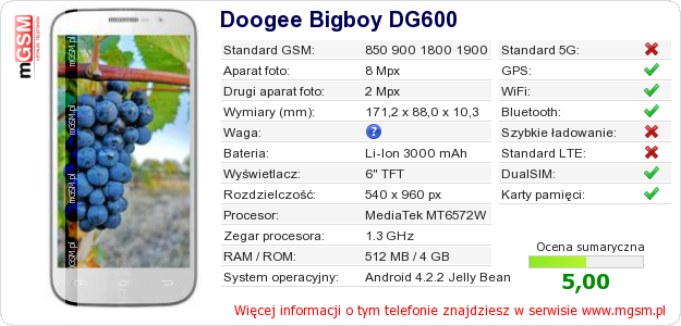 Dane telefonu Doogee Bigboy DG600 Dane telefonu Doogee Bigboy DG600