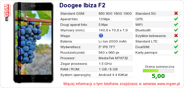 Dane telefonu Doogee Ibiza F2