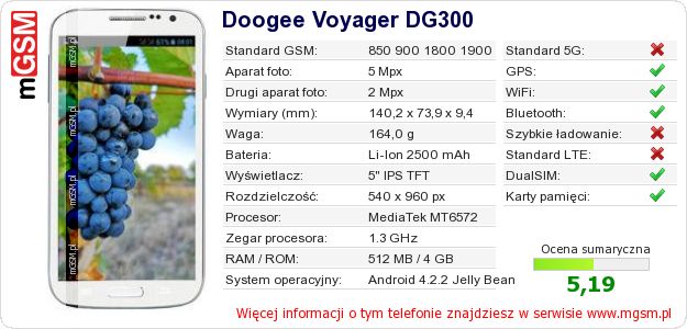 Dane telefonu Doogee Voyager DG300