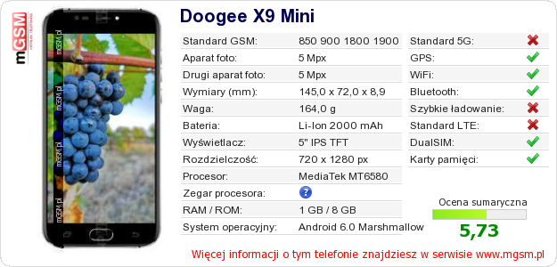Dane telefonu Doogee X9 Mini