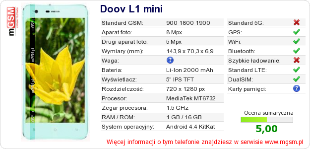 Dane telefonu Doov L1 mini