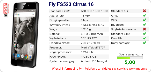 Dane telefonu Fly FS523 Cirrus 16