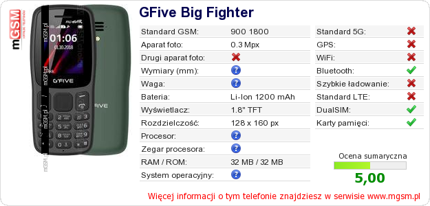 Dane telefonu GFive Big Fighter