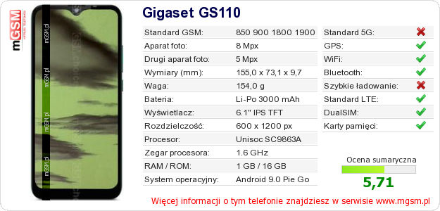 Dane telefonu Gigaset GS110 Dane telefonu Gigaset GS110