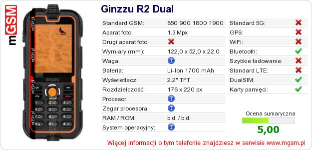 Dane telefonu Ginzzu R2 Dual