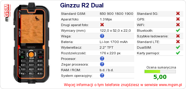 Dane telefonu Ginzzu R2 Dual