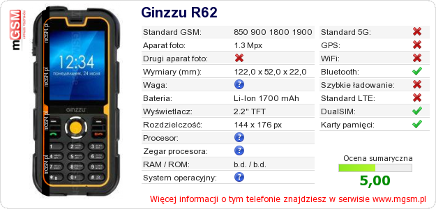 Dane telefonu Ginzzu R62 Dane telefonu Ginzzu R62