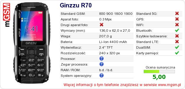 Dane telefonu Ginzzu R70