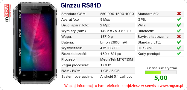 Dane telefonu Ginzzu RS81D