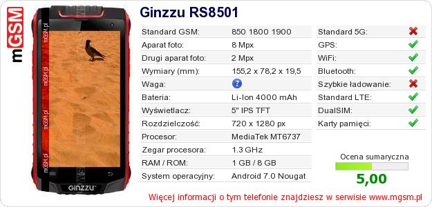 Dane telefonu Ginzzu RS8501 Dane telefonu Ginzzu RS8501
