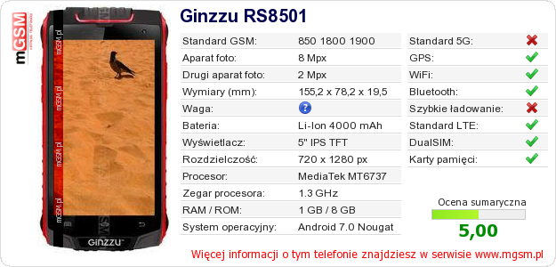 Dane telefonu Ginzzu RS8501