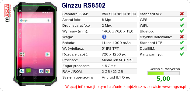 Dane telefonu Ginzzu RS8502