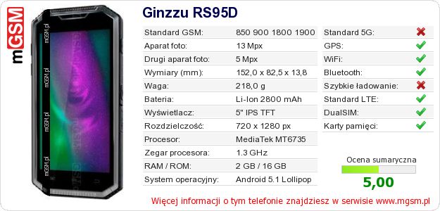 Dane telefonu Ginzzu RS95D