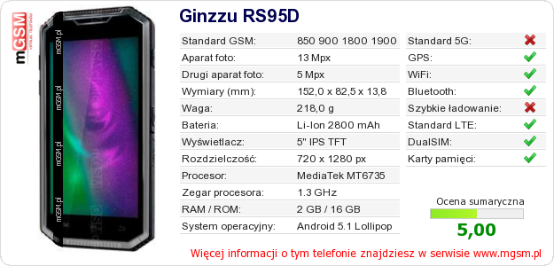 Dane telefonu Ginzzu RS95D