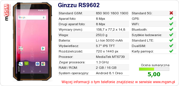 Dane telefonu Ginzzu RS9602