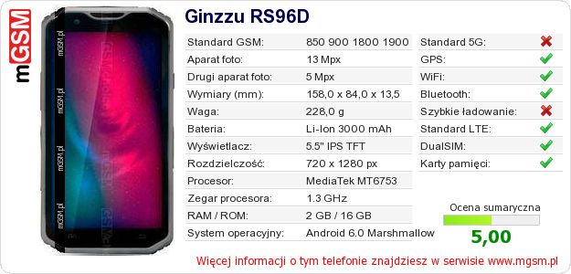 Dane telefonu Ginzzu RS96D