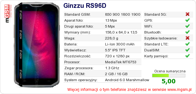 Dane telefonu Ginzzu RS96D Dane telefonu Ginzzu RS96D