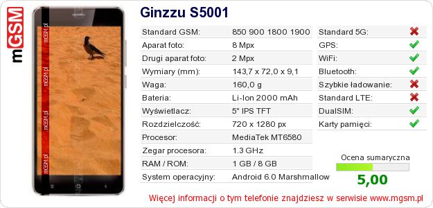 Dane telefonu Ginzzu S5001 Dane telefonu Ginzzu S5001