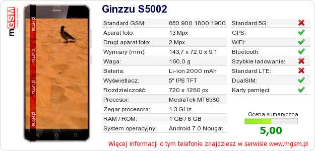 Dane telefonu Ginzzu S5002 Dane telefonu Ginzzu S5002