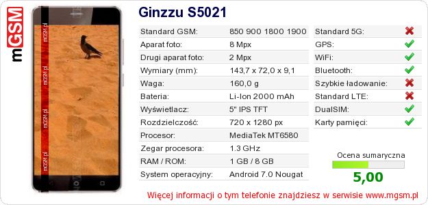 Dane telefonu Ginzzu S5021