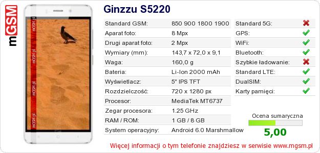 Dane telefonu Ginzzu S5220 Dane telefonu Ginzzu S5220