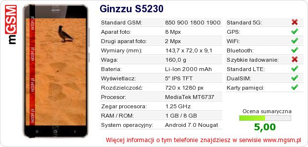 Dane telefonu Ginzzu S5230