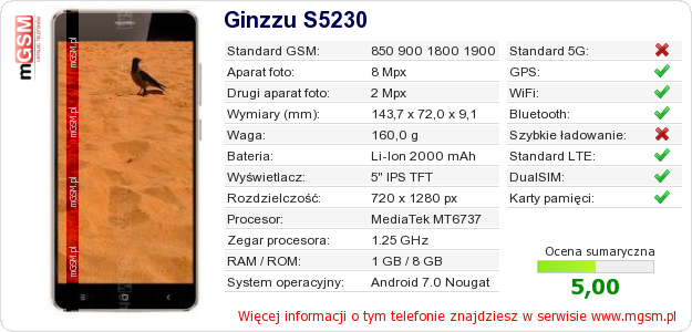 Dane telefonu Ginzzu S5230 Dane telefonu Ginzzu S5230
