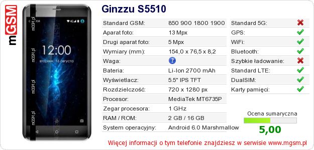 Dane telefonu Ginzzu S5510 Dane telefonu Ginzzu S5510
