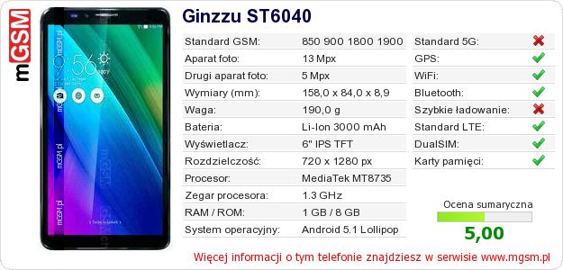 Dane telefonu Ginzzu ST6040