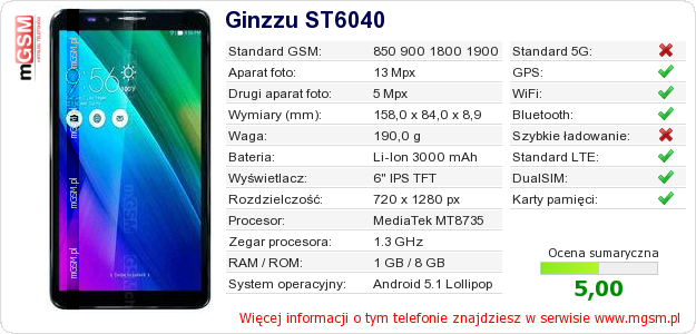 Dane telefonu Ginzzu ST6040