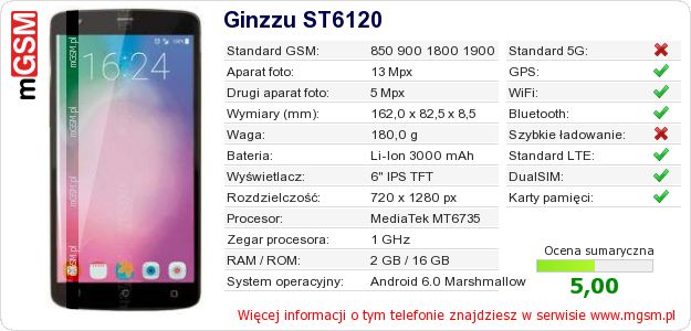 Dane telefonu Ginzzu ST6120