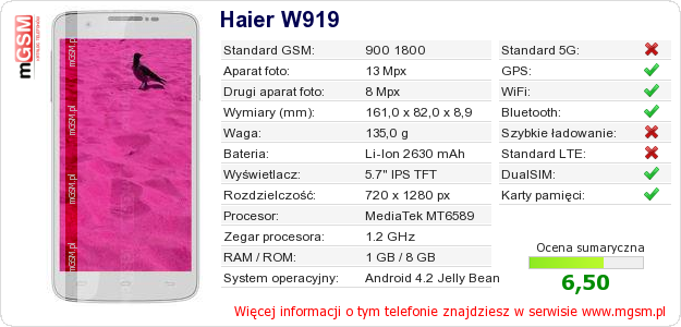 Dane telefonu Haier W919