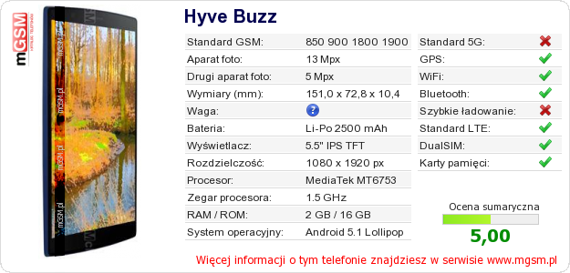Dane telefonu Hyve Buzz