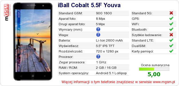 Dane telefonu iBall Cobalt 5.5F Youva Dane telefonu iBall Cobalt 5.5F Youva