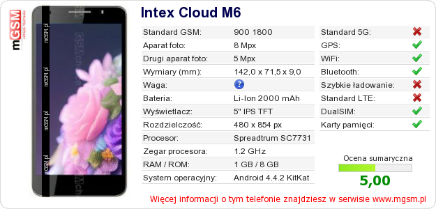 Dane telefonu Intex Cloud M6