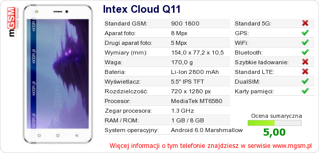 Dane telefonu Intex Cloud Q11 Dane telefonu Intex Cloud Q11