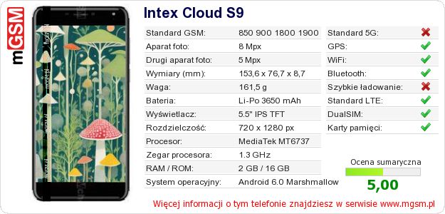 Dane telefonu Intex Cloud S9
