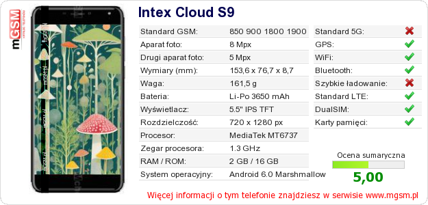 Dane telefonu Intex Cloud S9