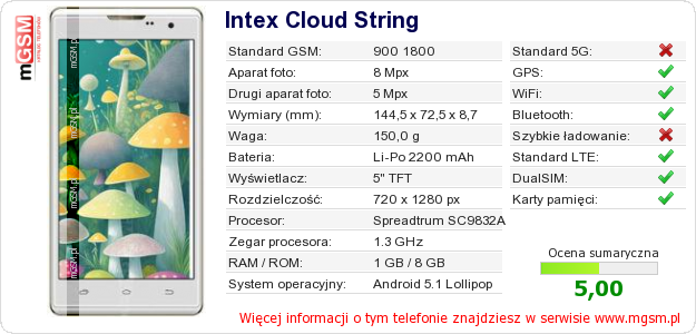 Dane telefonu Intex Cloud String Dane telefonu Intex Cloud String