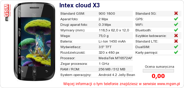 Dane telefonu Intex cloud X3