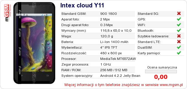 Dane telefonu Intex cloud Y11