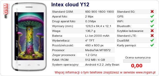 Dane telefonu Intex cloud Y12