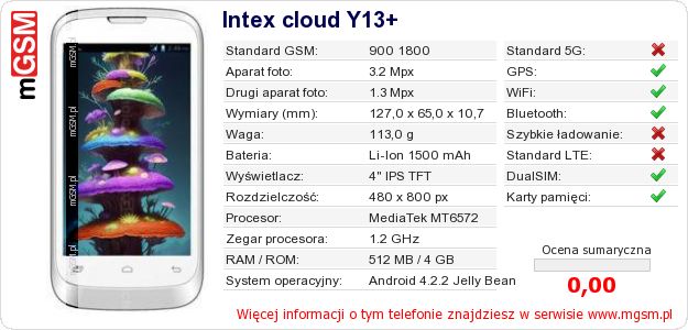 Dane telefonu Intex cloud Y13+ Dane telefonu Intex cloud Y13+
