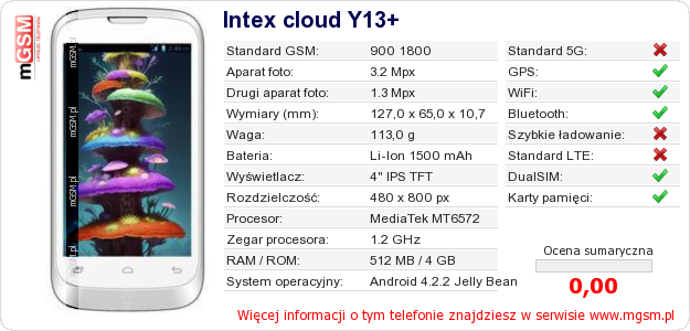 Dane telefonu Intex cloud Y13+